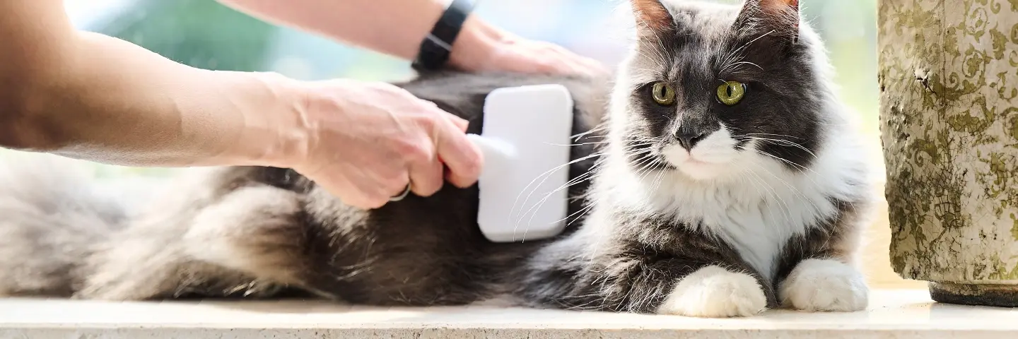 Beaphar Verzorgingsproducten kat