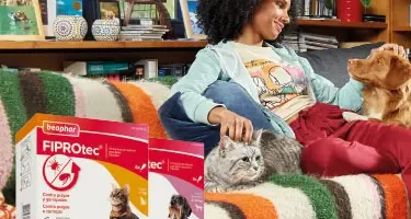 Header-FIPROtec-375x250px_Mobile_202