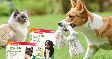 Header-Natural-Repellants-375x250px_Mobile_2023