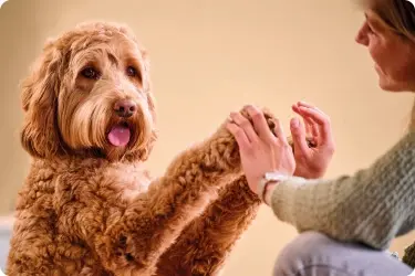 Beaphar Gezondheid voor honden