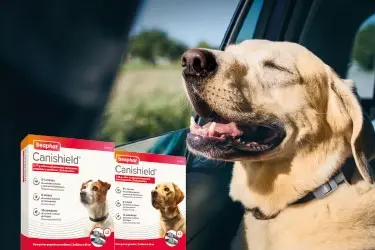 Header-Canishield-375x250px_Mobile_2023.