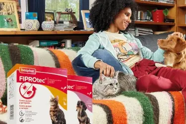 Header-FIPROtec-375x250px_Mobile_202