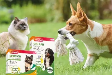 Header-Natural-Repellants-375x250px_Mobile_2023