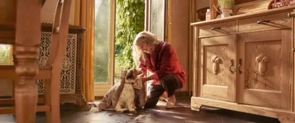 Beaphar never alone when you care